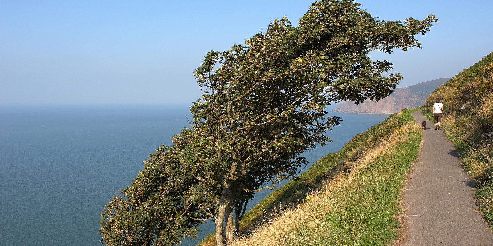 The Black Venus, pub exmoor, food exmoor