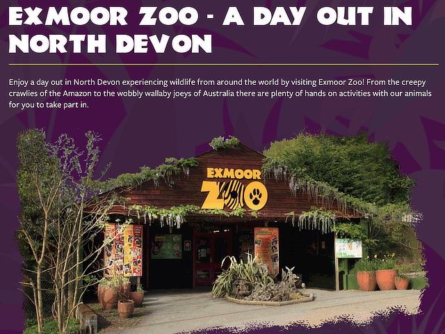 The Black Venus, pub exmoor, food exmoor