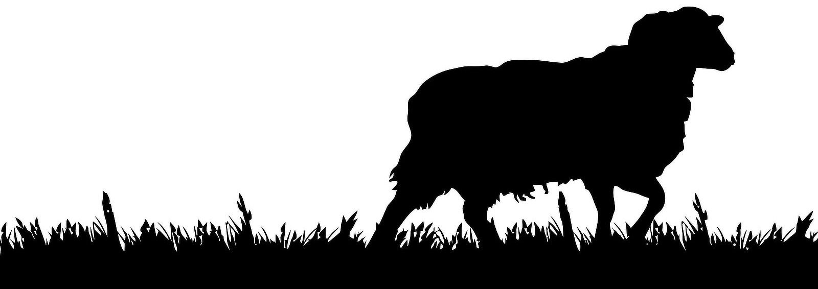 The Black Venus, pub exmoor, food exmoor