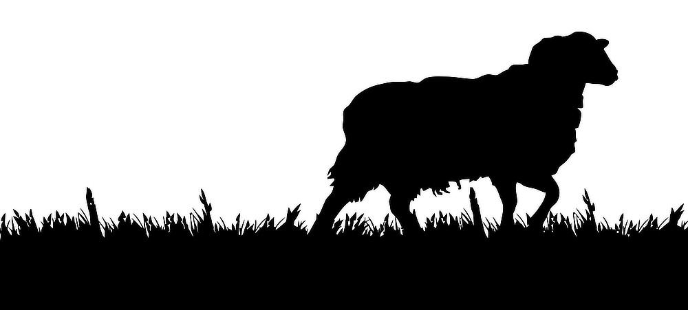 The Black Venus, pub exmoor, food exmoor