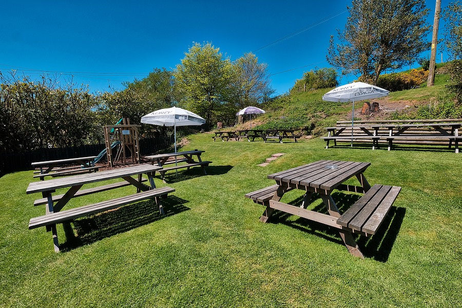 The Black Venus, pub exmoor, food exmoor